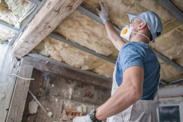 Best Affordable Insulation Services  in Hazel Park, MI