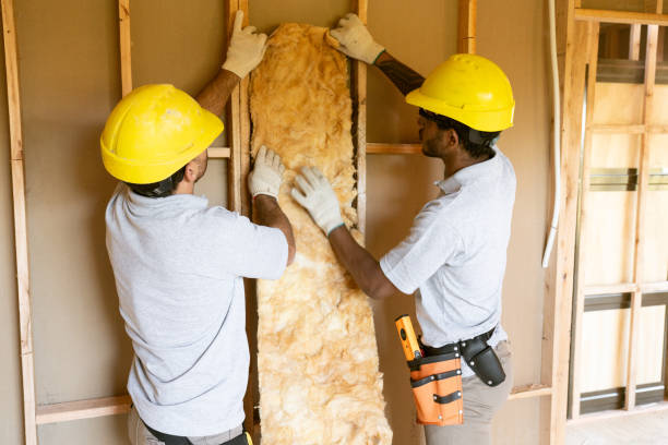 Best Spray Foam Insulation  in Hazel Park, MI
