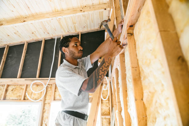 Insulation Repair Services in Hazel Park, MI